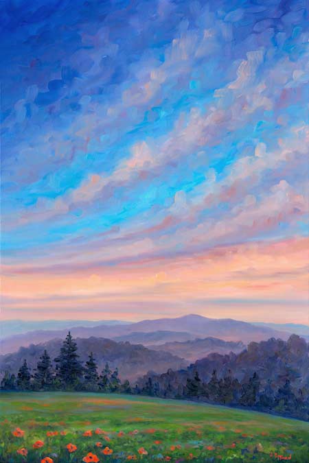 Orange poppy wildflowers on the Blue Ridge Parkway