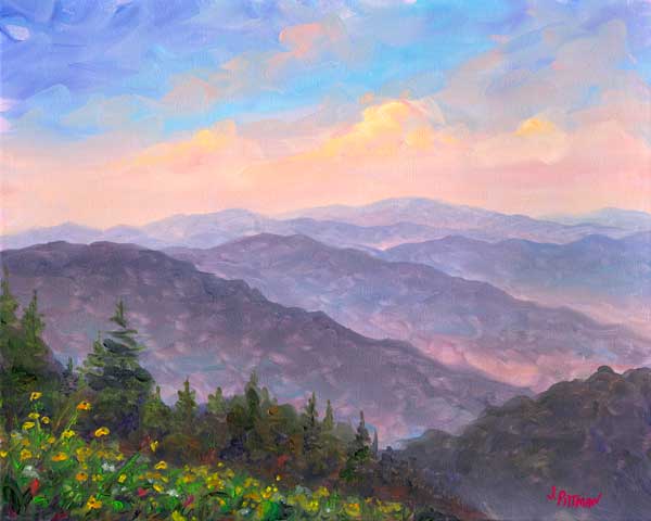 Blackeyed Susans flowers Appalachian Blue Ridge
